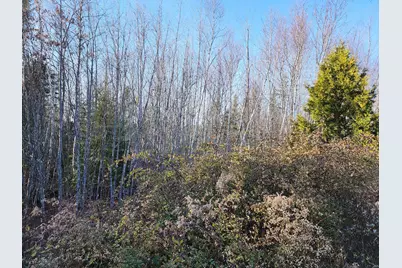 35 Trout Brook Lane, Searsport, ME 04974 - Photo 2