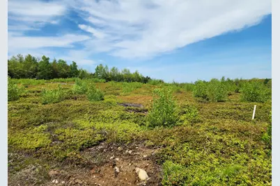3 Whispering Berries Hill, Liberty, ME 04949 - Photo 2