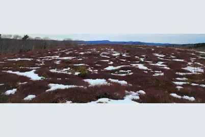 3 Whispering Berries Hill, Liberty, ME 04949 - Photo 6