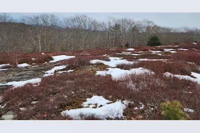 4 Whispering Berries Hill, Liberty, ME 04949 - Photo 16