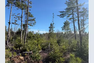 26-22-A Morgan Bay Road, Surry, ME 04684 - Photo 4