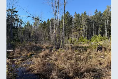 429 Morgan Bay Road, Surry, ME 04684 - Photo 2
