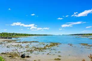 50 Ficketts Point Rd, Milbridge, ME 04658 - Photo 4