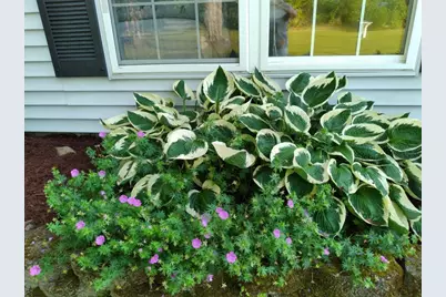 19 Pendleton Road, Searsport, ME 04974 - Photo 36