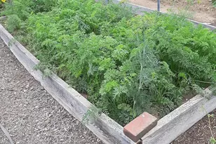 159 Moose Hill Rd, Fayette, ME 04349 - Photo 66