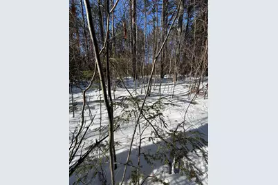 10 Merriman Drive #10, Bethel, ME 04217 - Photo 4