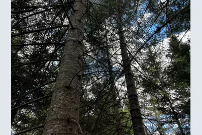 Lot 2-18 Shin Pond Road, Mount Chase, ME 04765 - Photo 14