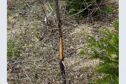 Lot 2-18 Shin Pond Road, Mount Chase, ME 04765 - Photo 6