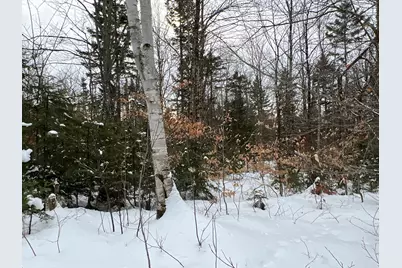 Lot 2-18 Shin Pond Road, Mount Chase, ME 04765 - Photo 38