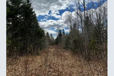 Lot 2-18 Shin Pond Road, Mount Chase, ME 04765 - Photo 56
