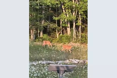 780 E Side Road, Addison, ME 04606 - Photo 42