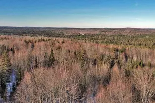 230 Maine 212, Moro Plantation, ME 04780 - Photo 52