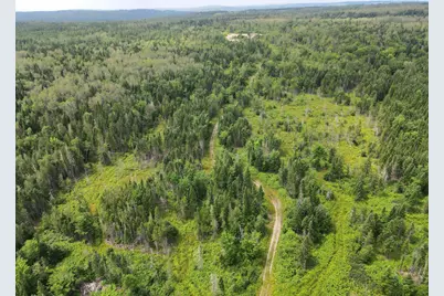 Lot 43.12 Jemptland Road, ConnorTownship, ME 04736 - Photo 6
