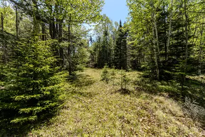 Lot 50 Cove Road, Machiasport, ME 04655 - Photo 34