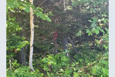 Lot #4 Bonnie Way, Winterport, ME 04496 - Photo 24