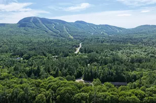 12 Lodgepole Ln, Newry, ME 04261 - Photo 4