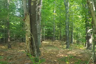 594 River Road Rd, Windham, ME 04062 - Photo 24
