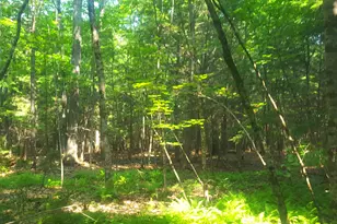 594 River Road Rd, Windham, ME 04062 - Photo 32
