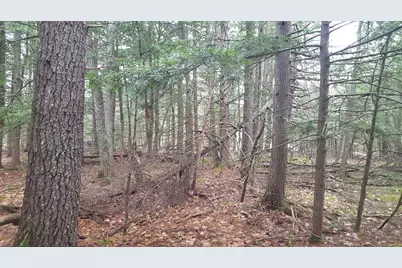 53 Johnson Road, Windham, ME 04062 - Photo 14