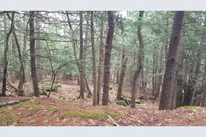 53 Johnson Road, Windham, ME 04062 - Photo 10