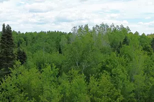 170 Grampys Way, Monticello, ME 04760 - Photo 60