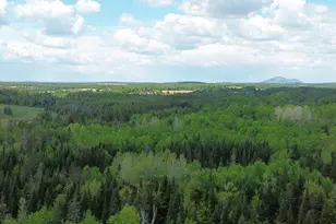 170 Grampys Way, Monticello, ME 04760 - Photo 58