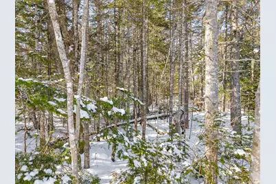 Lot #059 Paul Bunyan Road, Gouldsboro, ME 04624 - Photo 14