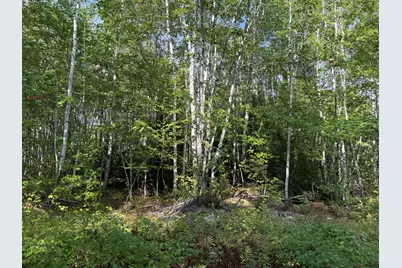 15 Moose Trail Drive, Waltham, ME 04605 - Photo 2