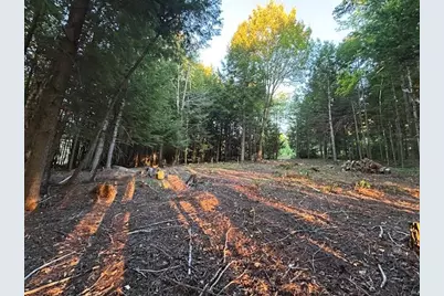 Lot #8 Kolm Road, Garland, ME 04939 - Photo 22