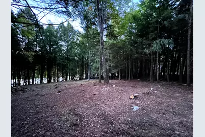 Lot #8 Kolm Road, Garland, ME 04939 - Photo 8