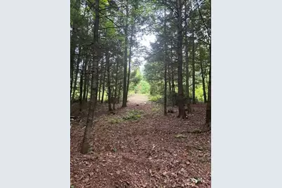 Lot #8 Kolm Road, Garland, ME 04939 - Photo 4
