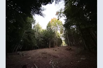 Lot #8 Kolm Road, Garland, ME 04939 - Photo 10