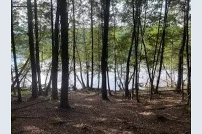 Lot #8 Kolm Road, Garland, ME 04939 - Photo 6