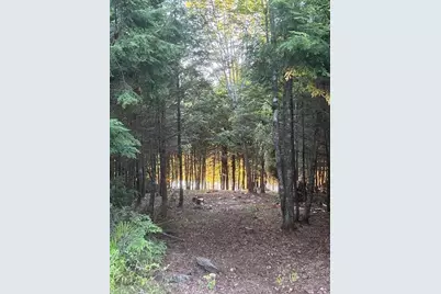 Lot #8 Kolm Road, Garland, ME 04939 - Photo 16