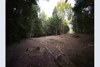Lot #8 Kolm Road, Garland, ME 04939 - Photo 4
