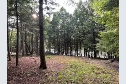Lot #8 Kolm Road, Garland, ME 04939 - Photo 8