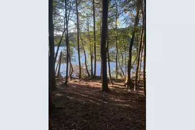 Lot #8 Kolm Road, Garland, ME 04939 - Photo 12
