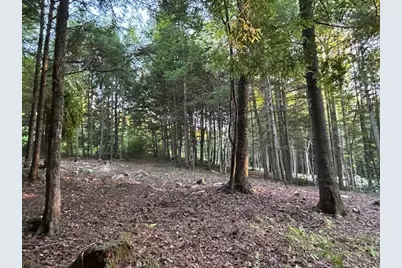 Lot #8 Kolm Road, Garland, ME 04939 - Photo 18