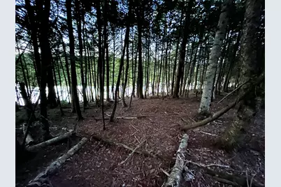 Lot #8 Kolm Road, Garland, ME 04939 - Photo 6