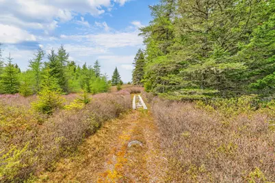 0 Pomp Island, Beals, ME 04611 - Photo 48