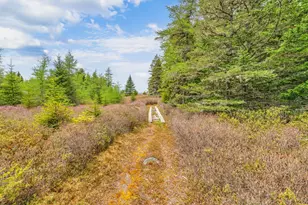 0 Pomp Island, Beals, ME 04611 - Photo 48