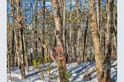 Lot42-1001 Maine Street #Map 10, Poland, ME 04274 - Photo 16