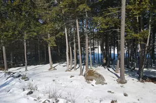 8 Martins Ln, Glenburn, ME 04401 - Photo 4
