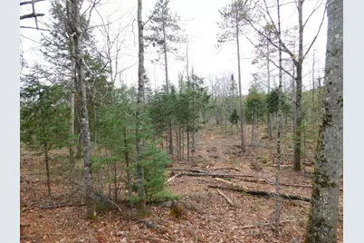 Lot # 4 Spring Bridge Road, Greenbush, ME 04418 - Photo 2