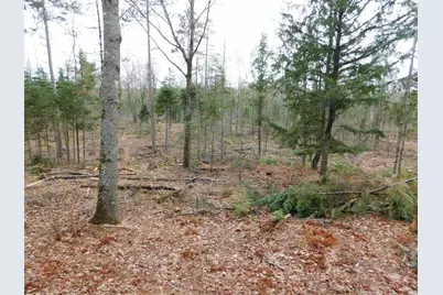 Lot # 2 Spring Bridge Road, Greenbush, ME 04418 - Photo 6