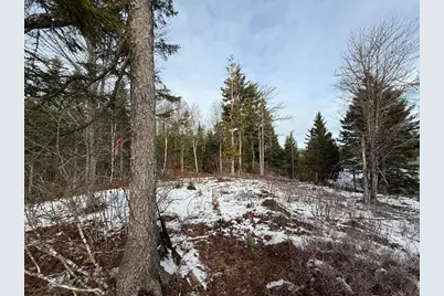 Lot 7Bh Steam Mill Road, Robbinston, ME 04671 - Photo 14