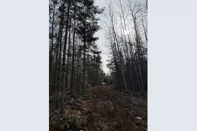 Lot 7Bh Steam Mill Road, Robbinston, ME 04671 - Photo 10