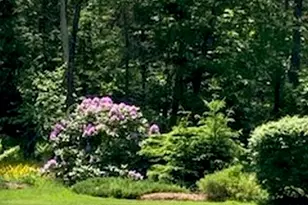 74 Town Farm Rd, Hampden, ME 04444 - Photo 56