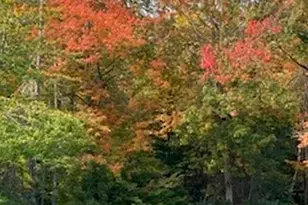 74 Town Farm Rd, Hampden, ME 04444 - Photo 46