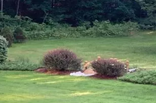 74 Town Farm Rd, Hampden, ME 04444 - Photo 58